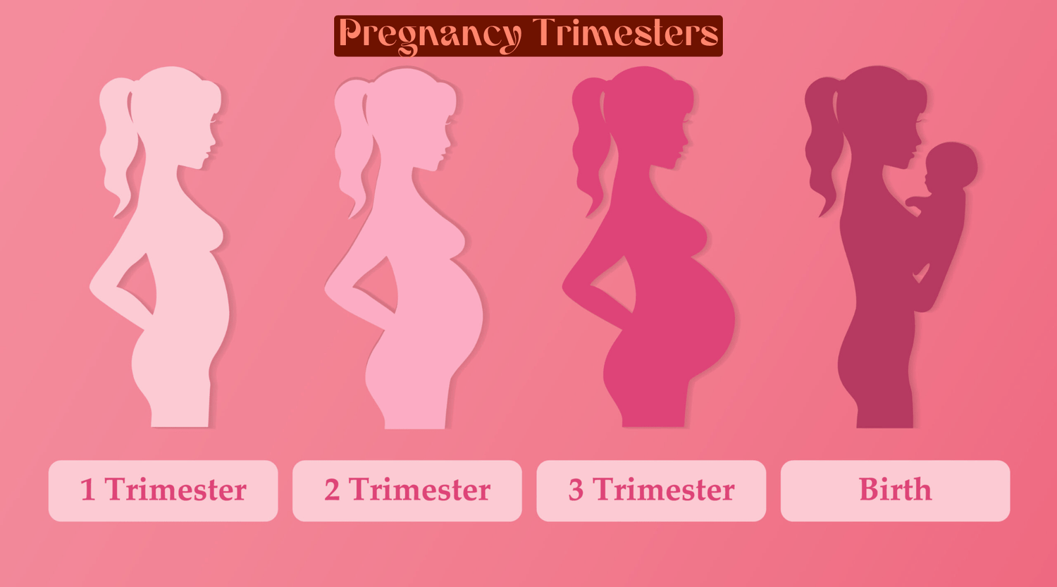 zwangerschapskussen hulp in elk trimester